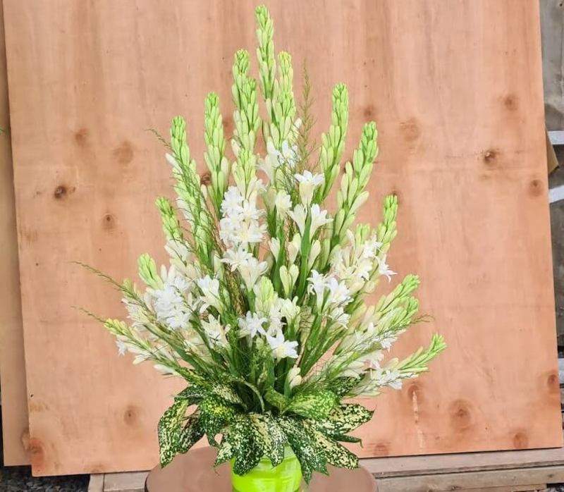 Hoa huệ trắng là loại hoa thắp hương rất phổ biến