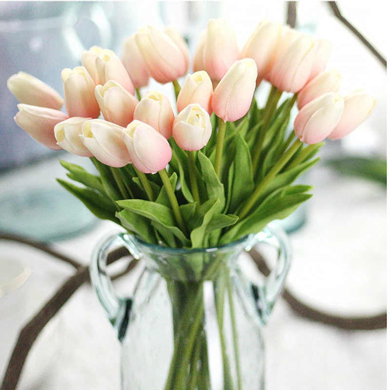 Hoa tulip đại diện cho hạnh phúc, sum vầy và đủ đầy